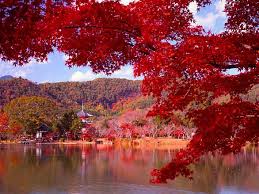 紅葉の大沢の池